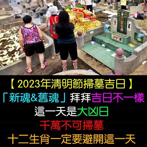 2023年掃墓吉日|2023年清明節掃墓吉日曝！專家：這時間「最佳」 